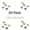 Indica Bundle Pack - Fem & Auto Fem Cannabis Seeds